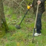 Metal detector and what we can find