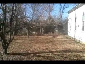 Ace 250 Metal Detecting Old Missouri Church Reviews