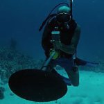 tesoro tiger shark underwater metal detector review